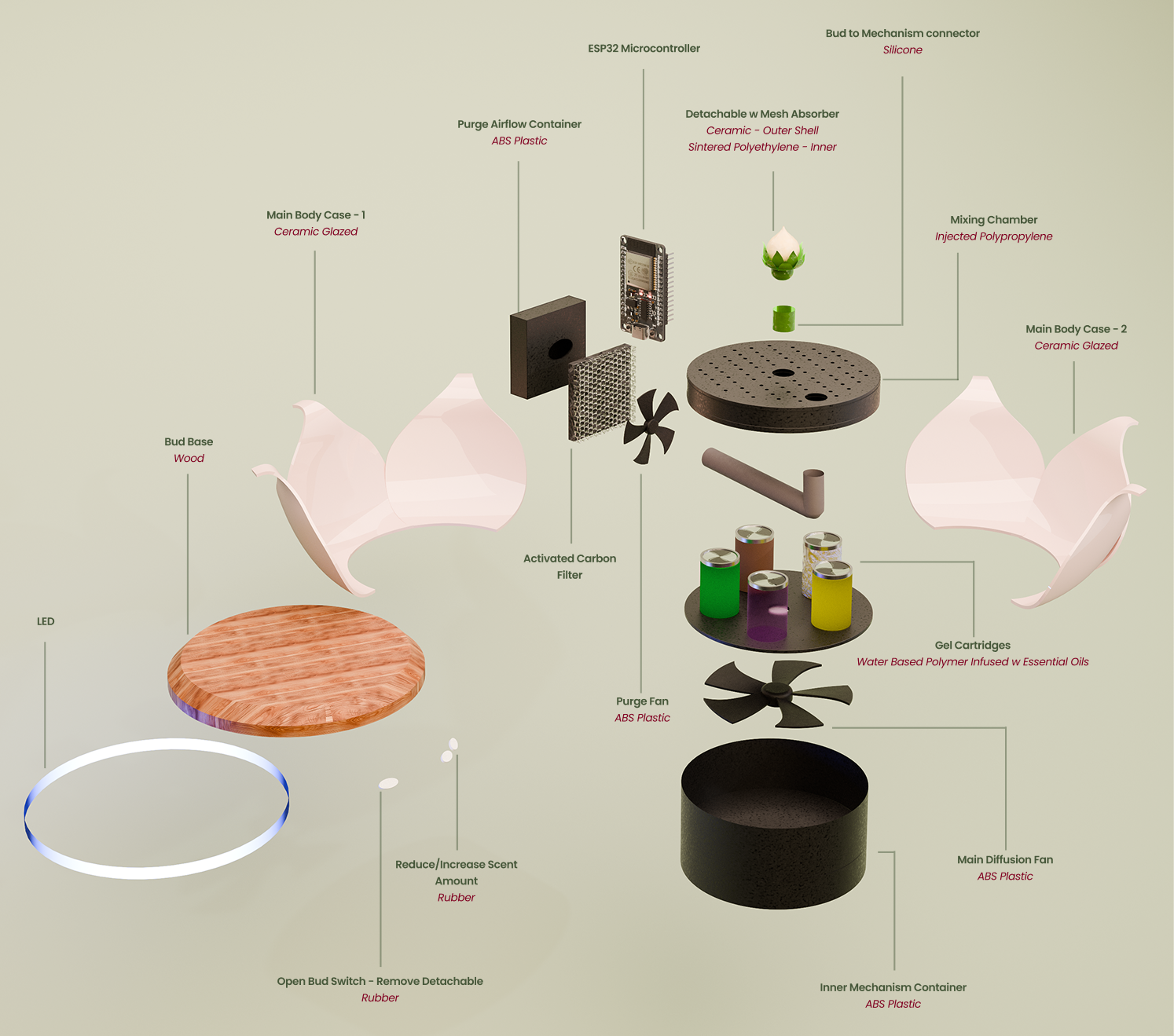 Root exploded view